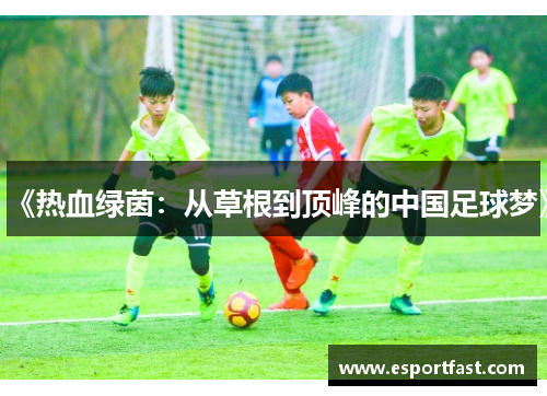 《热血绿茵:从草根到顶峰的中国足球梦》 《热血绿茵:从草根到顶峰的中国足球梦》
