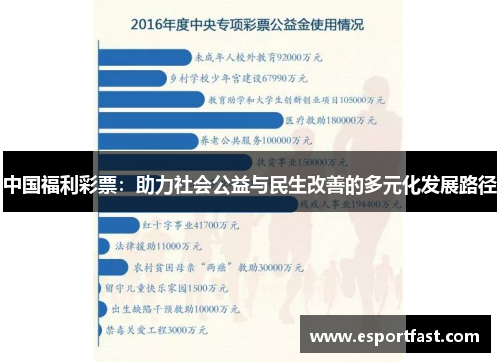 中国福利彩票:助力社会公益与民生改善的多元化发展路径 中国福利彩票:助力社会公益与民生改善的多元化发展路径
