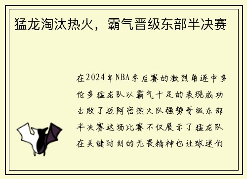 猛龙淘汰热火，霸气晋级东部半决赛