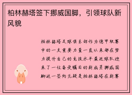柏林赫塔签下挪威国脚，引领球队新风貌